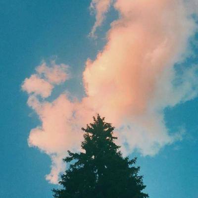 万博·体育-登录入口