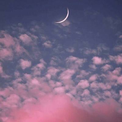 yabo官网网页版手机app下载