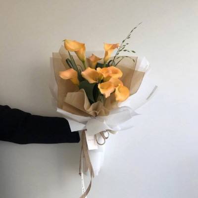 凯时ag旗舰厅-登录入口截图